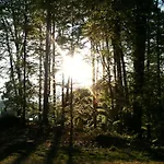 Waldpension Schiefling Am