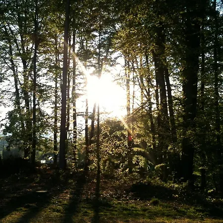 Waldpension Schiefling Am