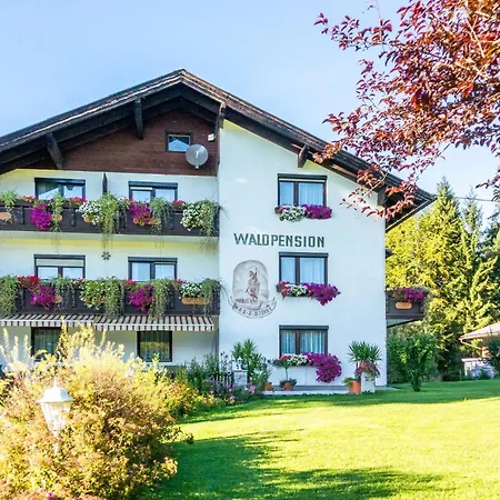 Waldpension Schiefling Am シーフリング・アム・ゼー