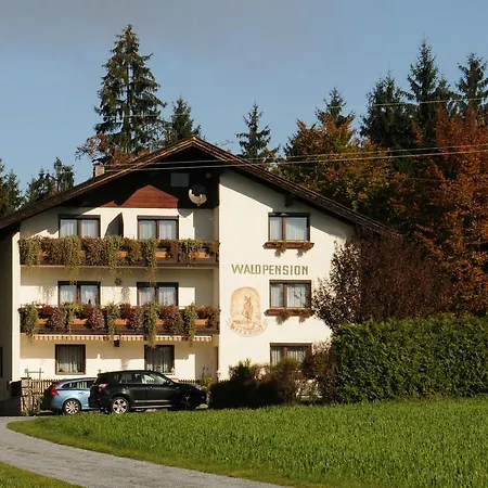 招待所 Waldpension Schiefling Am 施弗灵希