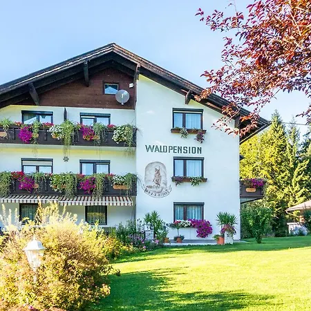 Waldpension Schiefling Am 3* Schiefling am See