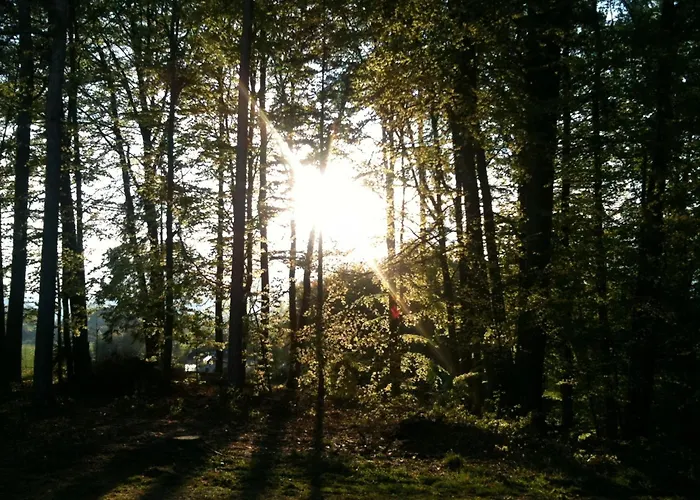 Waldpension Schiefling Am