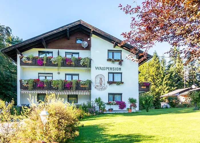 Waldpension Schiefling Am 3* 쉬플링암씨