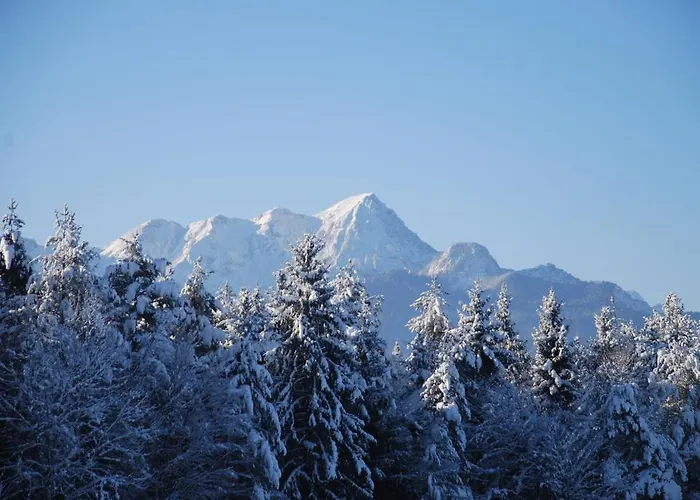 Pensjonat Waldpension Schiefling Am